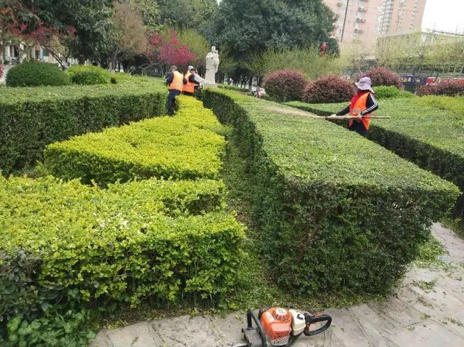 无锡市绿化工程项目