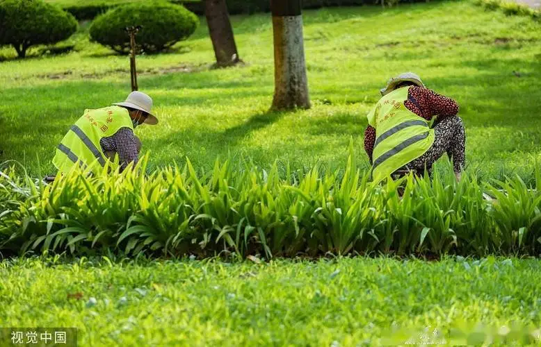 三河城市绿化养护技术规范及等级标准