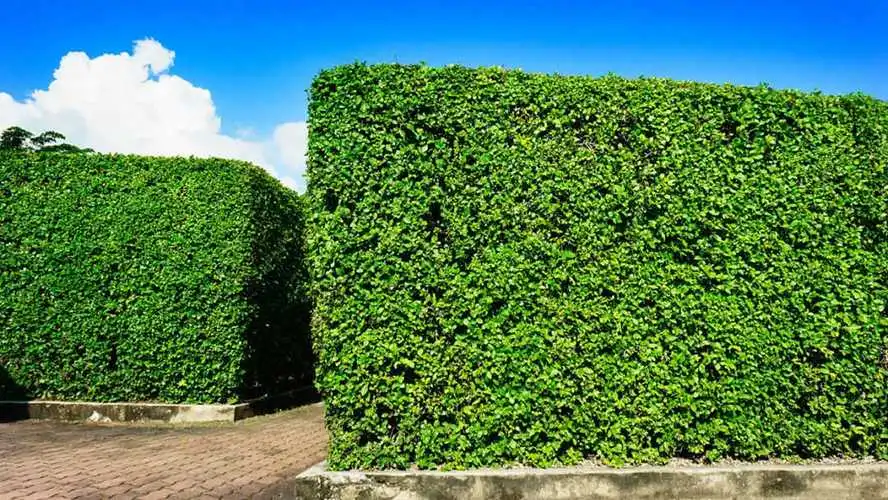别墅园林景观设计建模