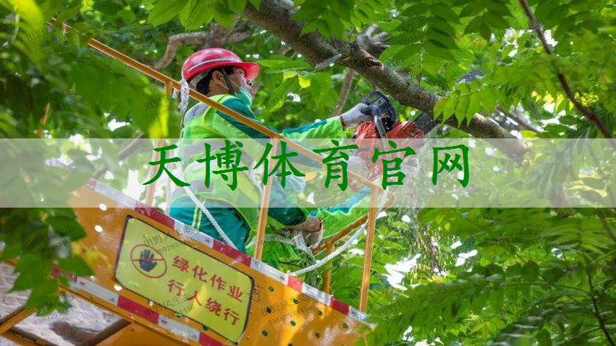 花箱园林景观设计定制方案