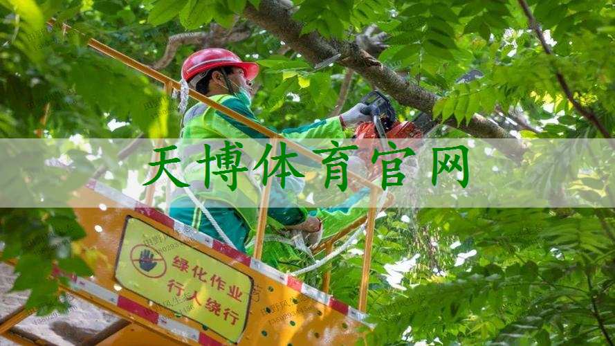 市政绿化工程偷工减料